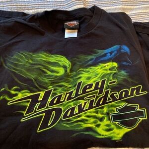 Harley Davison 2012 Green and Blue Eagles

Size XL